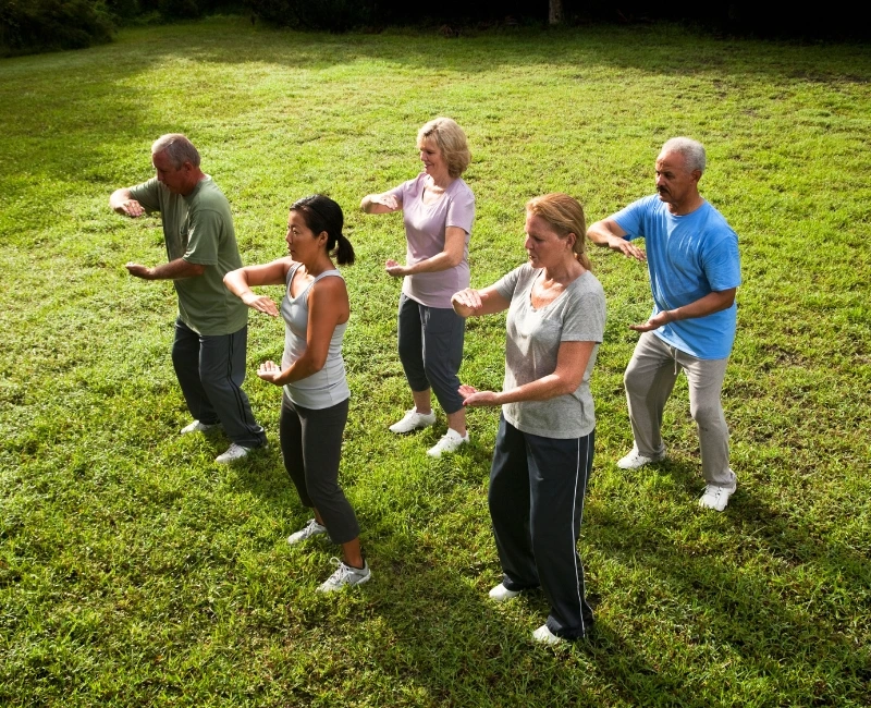 Wellness and Spa Retreats