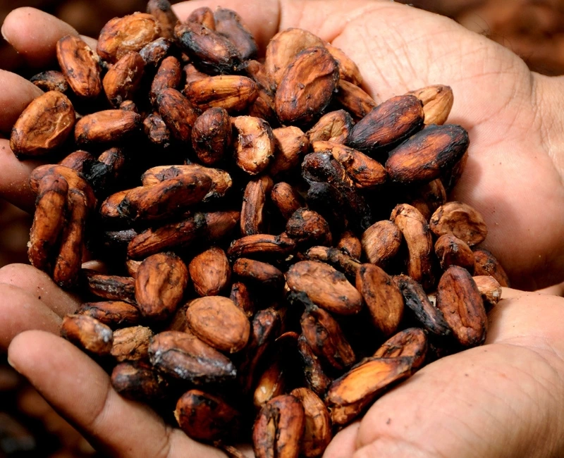 Culinary and Farm‑to‑Table Journeys