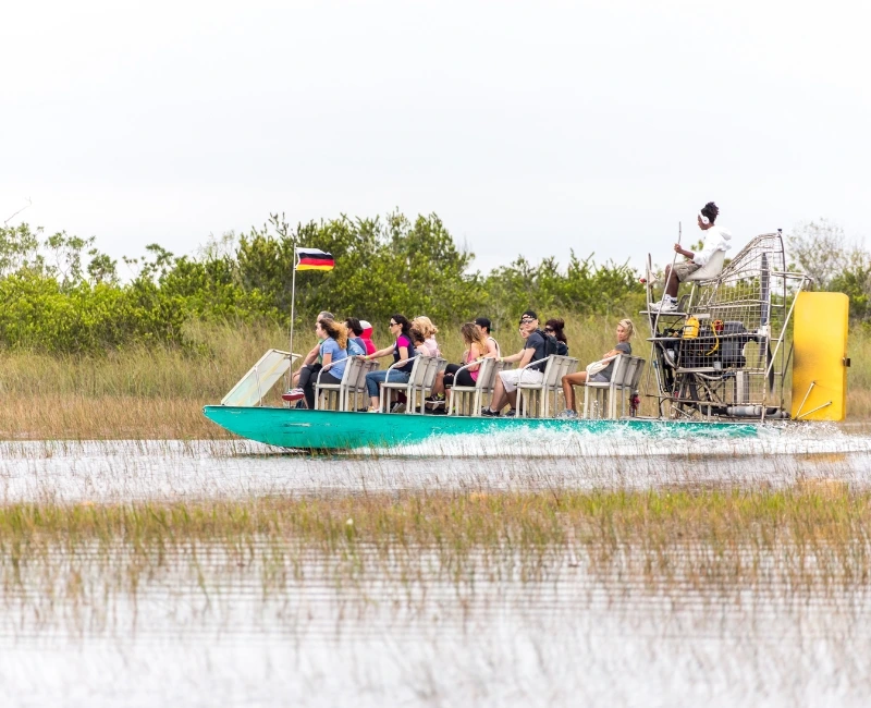 Everglades & Nature Excursions