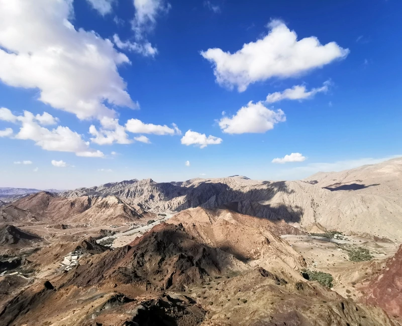 Mountain‑View Yoga & Holistic Workshops