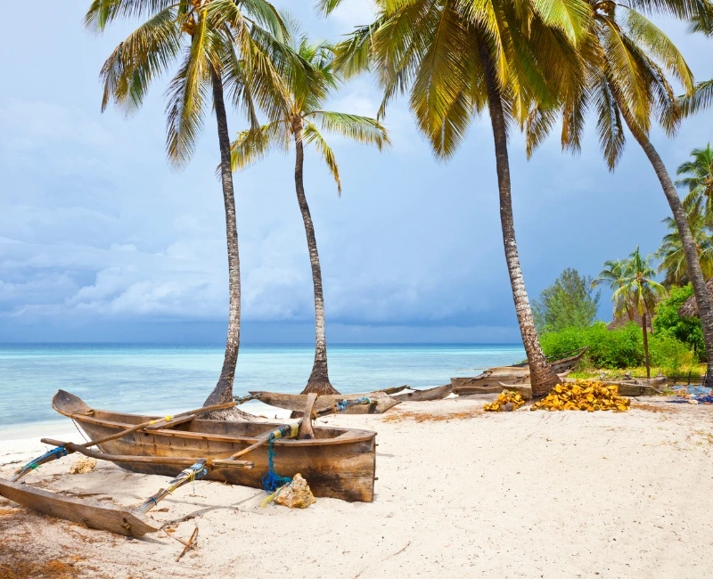 Nungwi Beach & Northern Shores