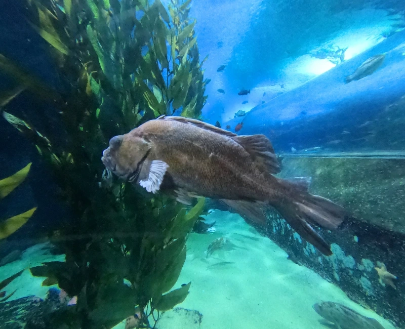 Family-Friendly Activities