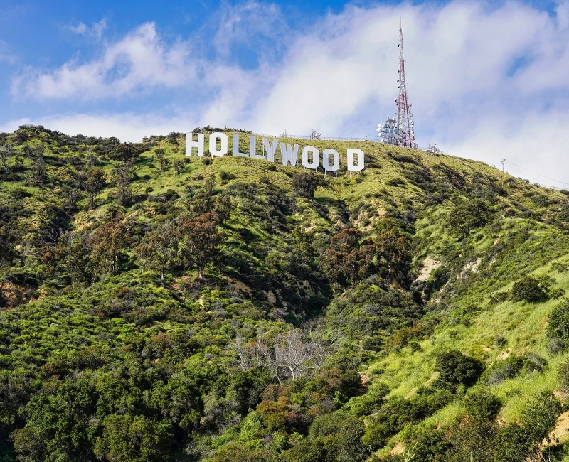 Hollywood Insider Experiences