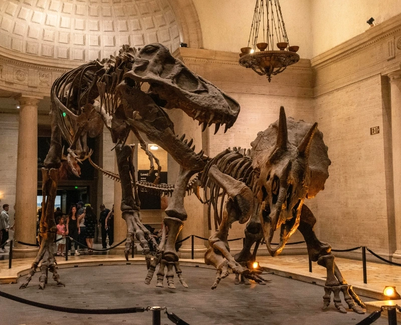 Art, Museums & Architecture