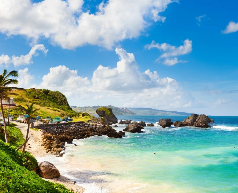 Beach Bliss in Barbados
