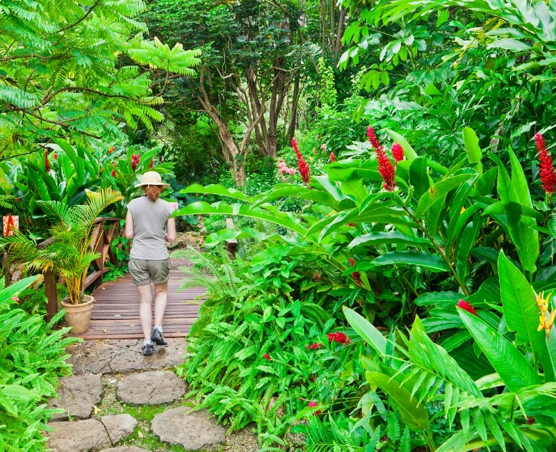 Eco & Nature Experiences