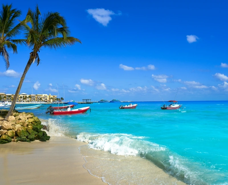 Nightlife & Entertainment