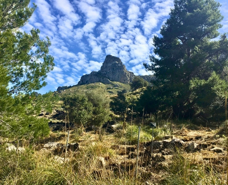 Outdoor & Adventure Activities