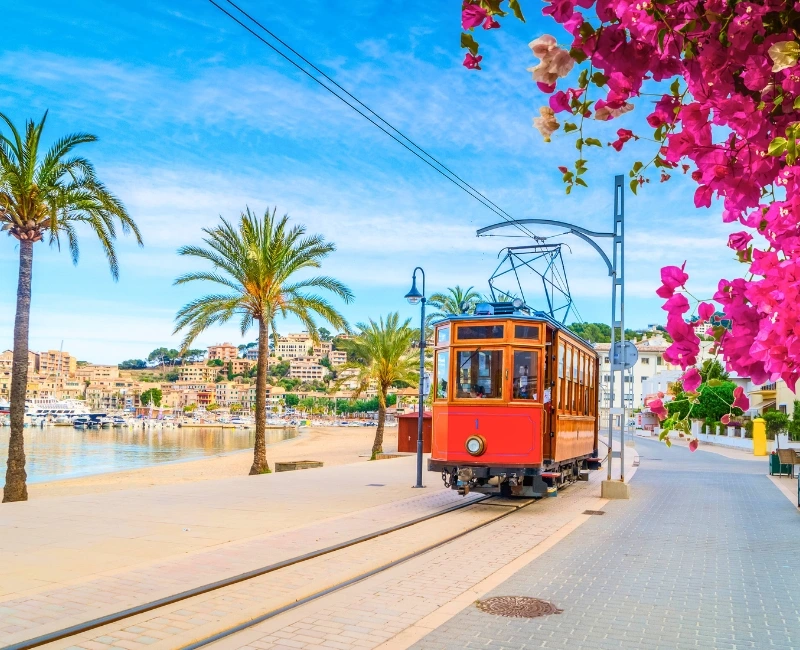 Wellness & Relaxation