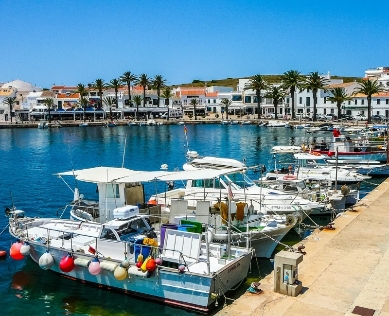 Local Festivals and Events