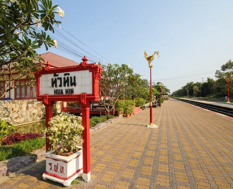Local Flavors & Night Market Bites