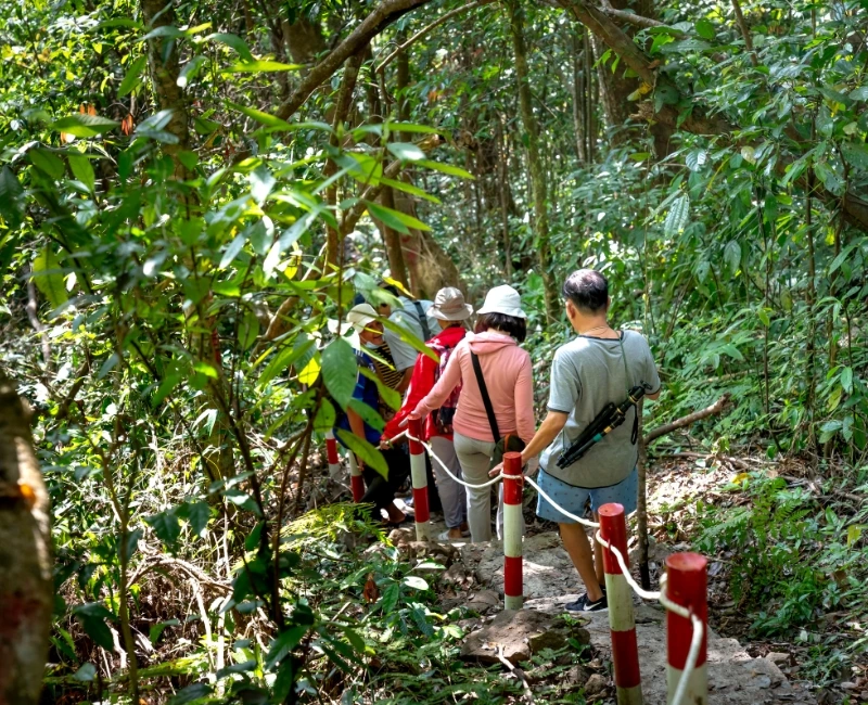Jungle Trekking and Adventure Tours