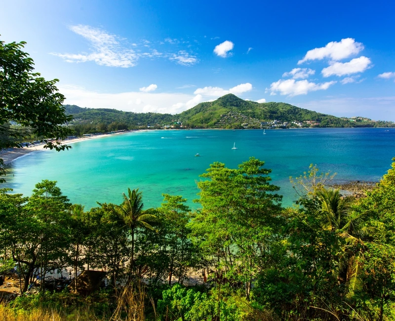 Spa and Wellness Retreats