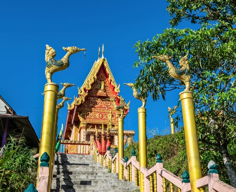 Cultural Temples and Local Traditions