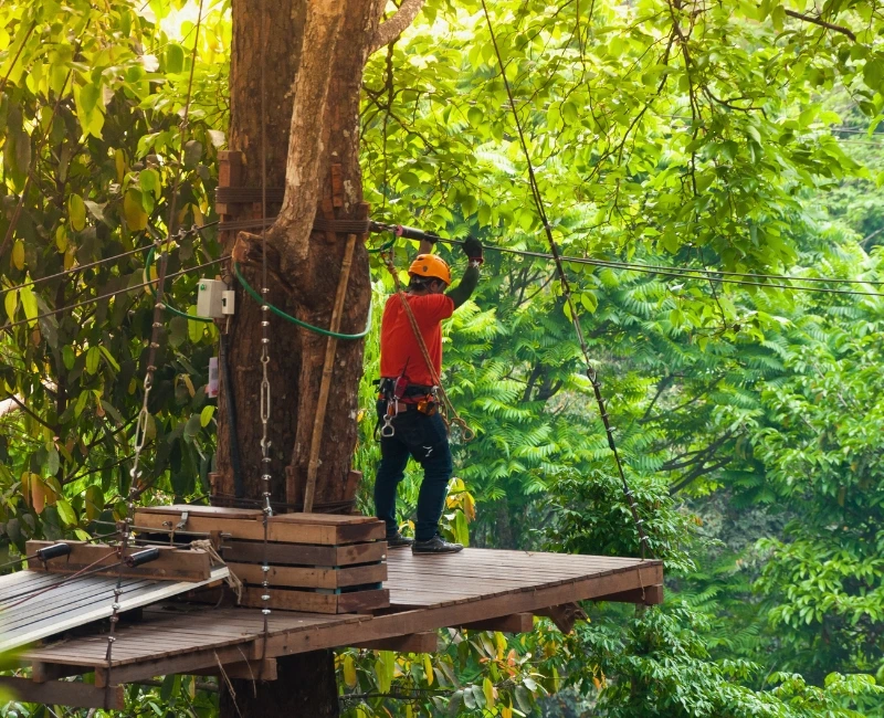 Jungle Trekking and Wildlife Encounters