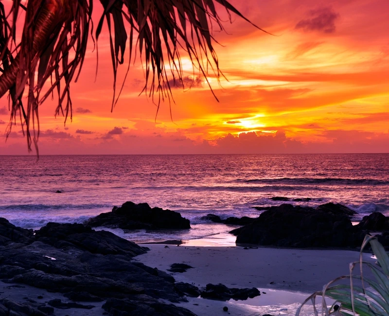 Nightlife & Evening Excursions