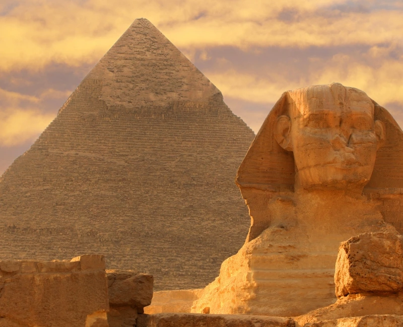 Transport and Connectivity