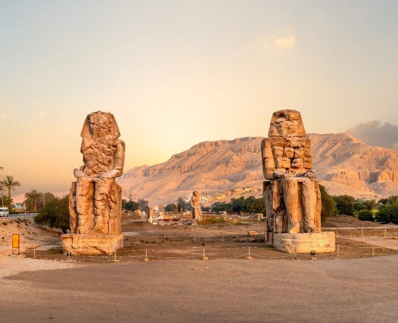 Wellness and Relaxation