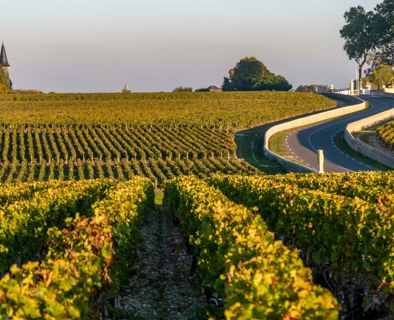 Wine Routes and Vineyards