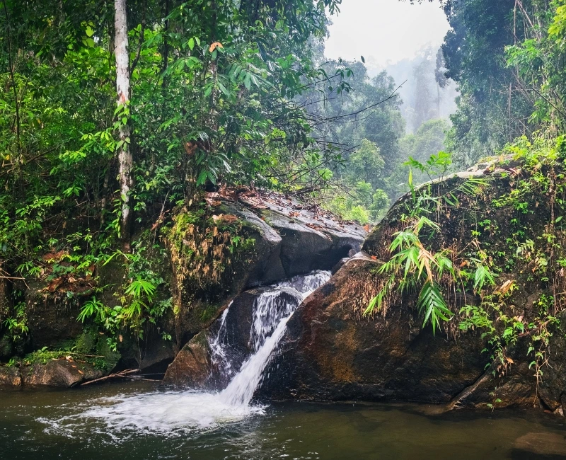 National Parks and Waterfalls