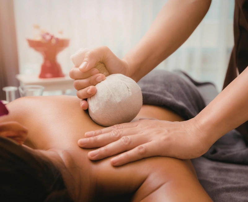 Spa Retreats and Wellness Centers