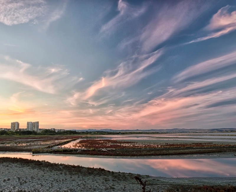 Poda & Atanasovsko Lake Birdwatching