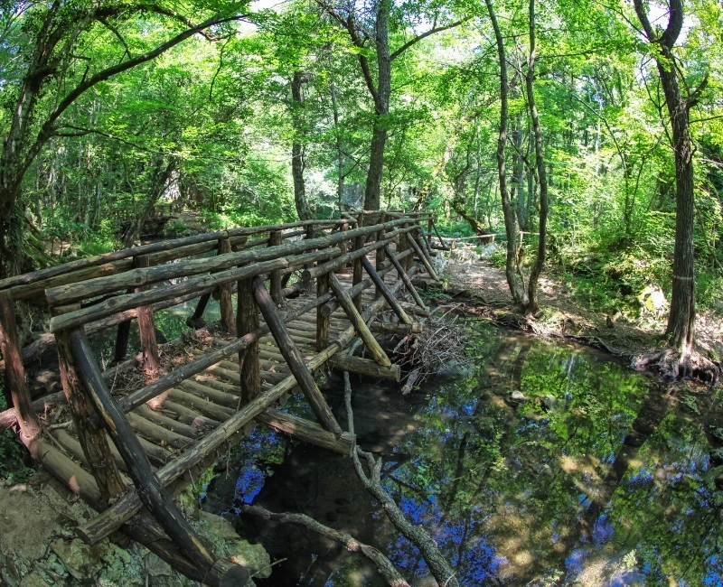Ropotamo River & Strandzha Excursion