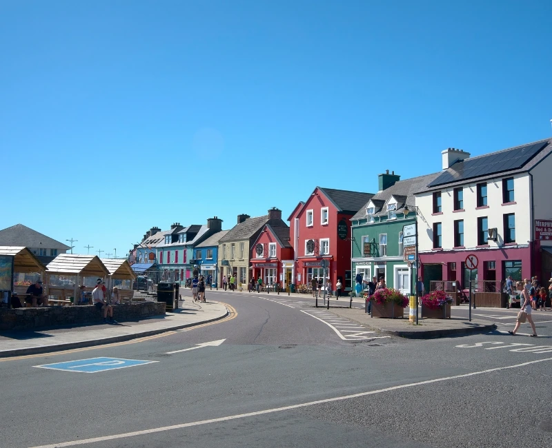 Dingle Peninsula Wildlife & Landscapes