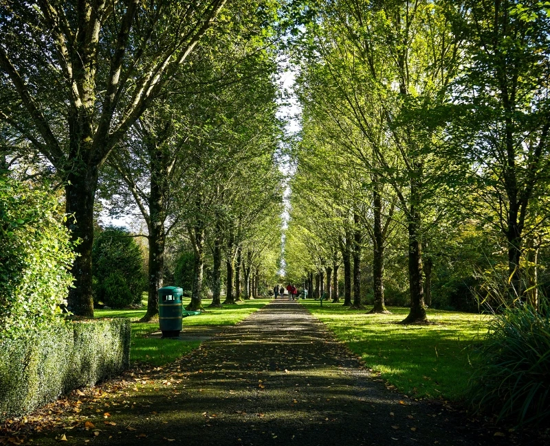 Pubs, Live Music & Evening Experiences