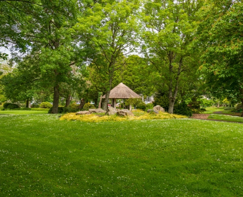 Family-Friendly Activities and Outdoor Learning