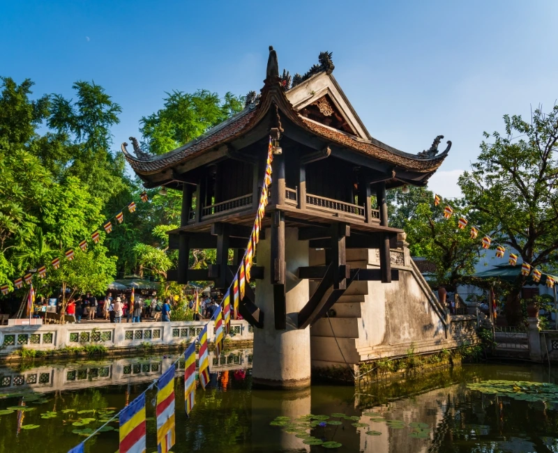 Cycling & Walking Tours