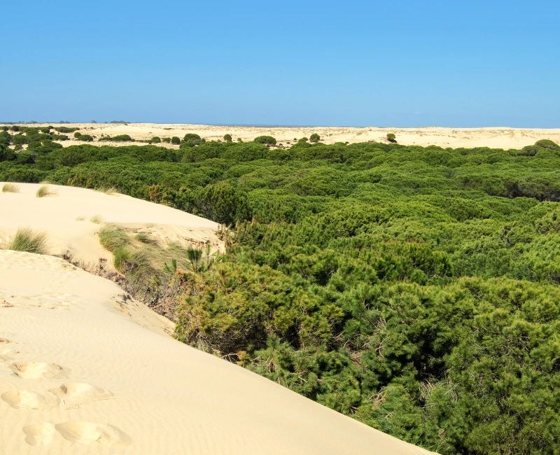 Day Trips from Seville