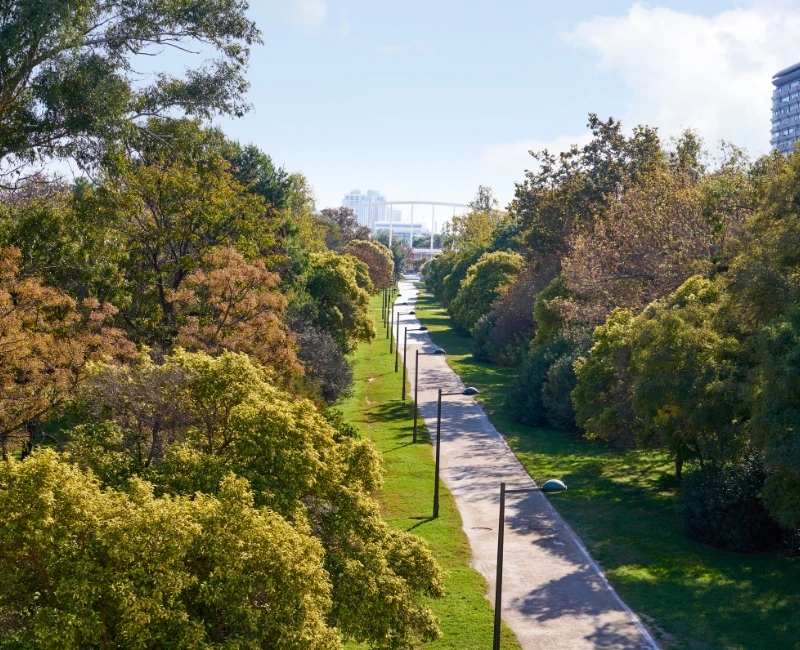 Turia Gardens & Outdoor Activities