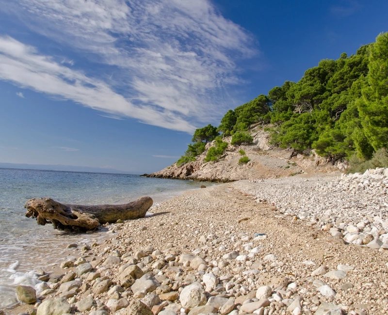 Wellness and Relaxation Offerings